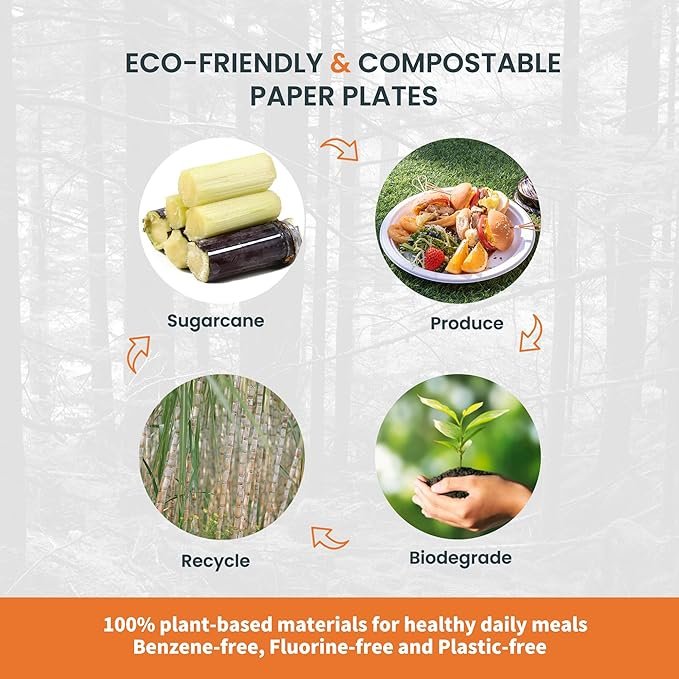 100% Compostable Plates – Sustainable Circle