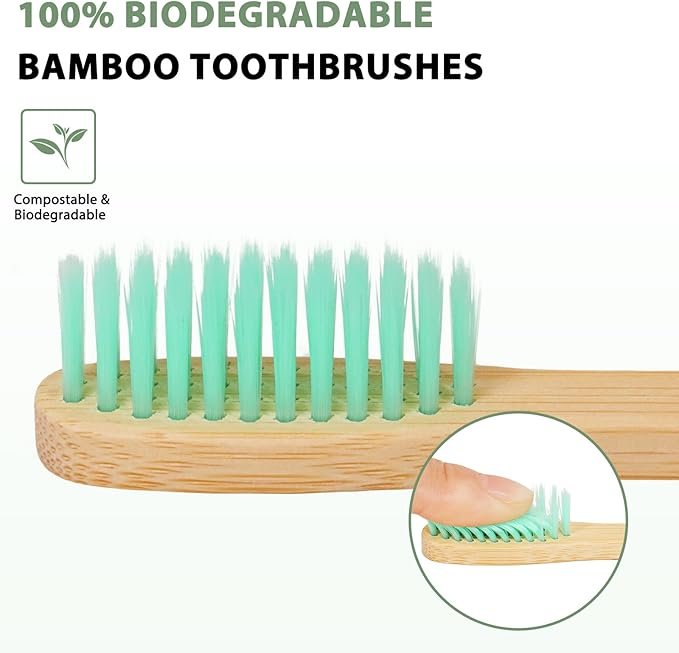 10 Reasons to Switch to 20 Count Bamboo Toothbrushes – Sustainable Circle