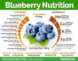 Blueberries' Nutrition | The Tiny Superfood With Big Health Benefits